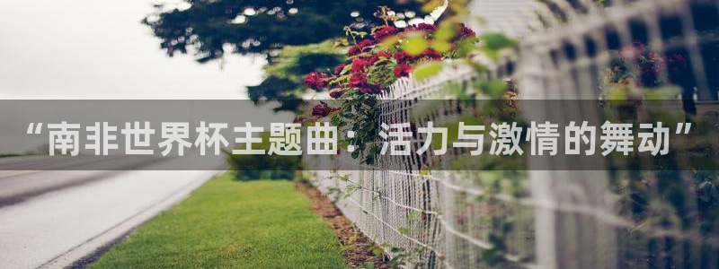 世界杯欧洲预选赛赛程：“南非世界杯主题曲：活力与激情的舞动”
