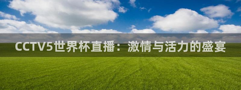 葡萄牙世界杯赛程：CCTV5世界杯直播：激情与活力的盛宴