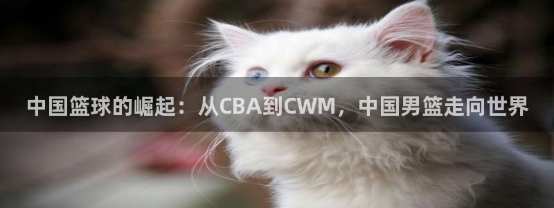 2026年世界杯直播平台：中国篮球的崛起：从CBA到CWM，中国男篮走向世界