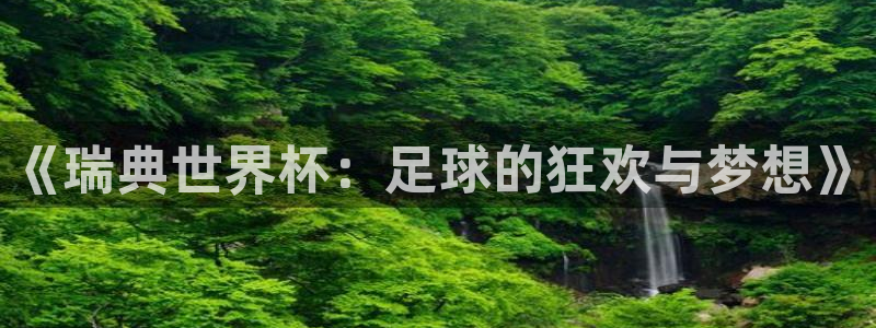 世界杯欧洲预选赛：《瑞典世界杯：足球的狂欢与梦想》