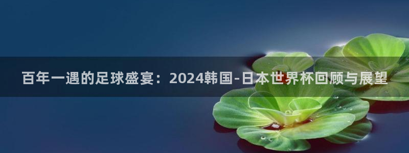 世界杯足球比赛：百年一遇的足球盛宴：2024韩国-日本世界杯回顾与展望