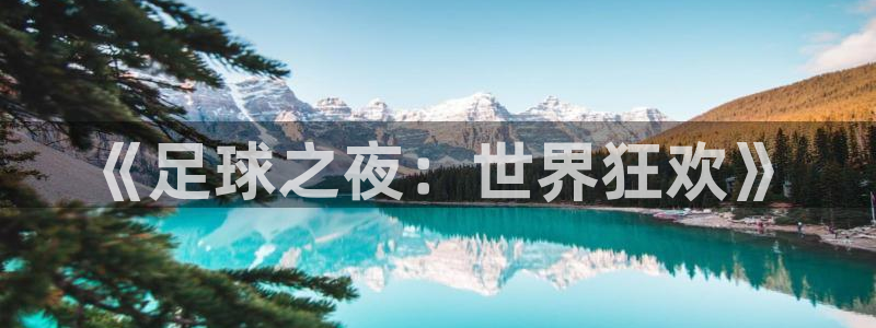 世界杯比赛：《足球之夜：世界狂欢》