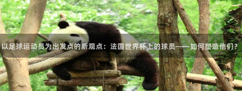 中国 世界杯：以足球运动员为出发点的新观点：法国世界杯上的球员——如何塑造他们？