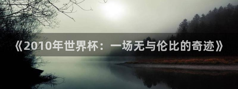 世界杯比赛：《2010年世界杯：一场无与伦比的奇迹》
