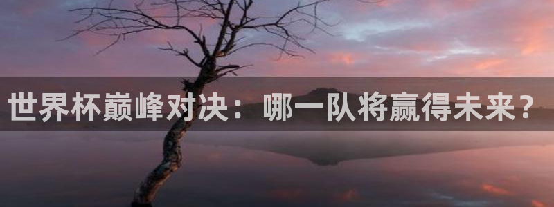 2026年世界杯赛程：世界杯巅峰对决：哪一队将赢得未来？