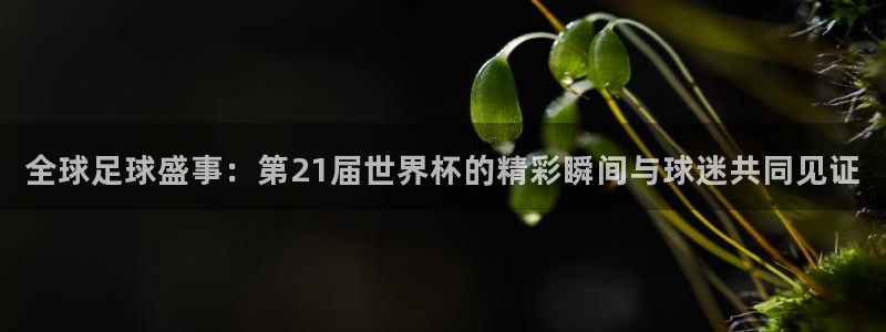 世界杯葡萄牙赛程：全球足球盛事：第21届世界杯的精彩瞬间与球迷共同见证