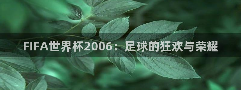 世界杯亚洲区预选赛赛程：FIFA世界杯2006：足球的狂欢与荣耀